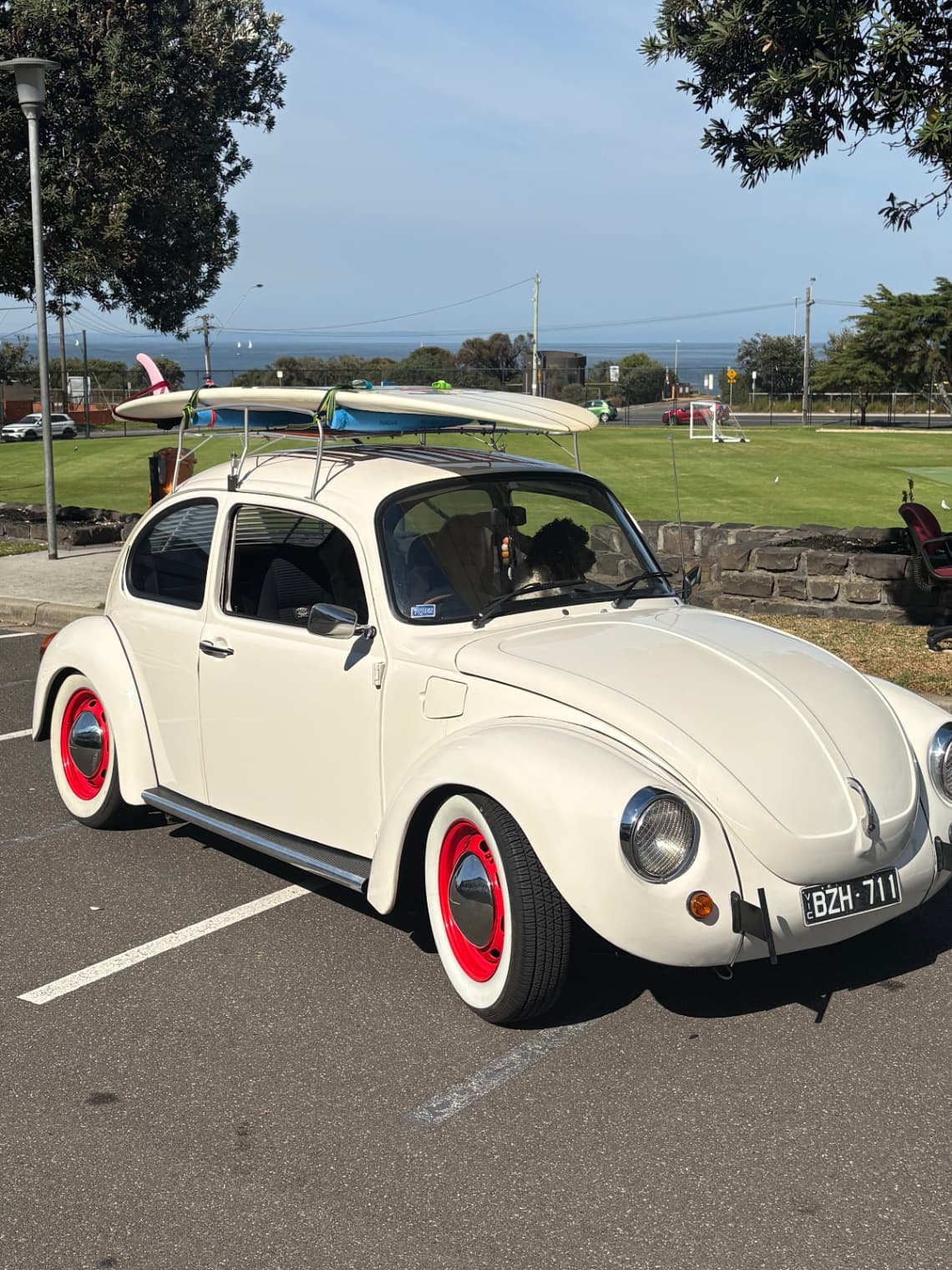 Big Big sale photo 1